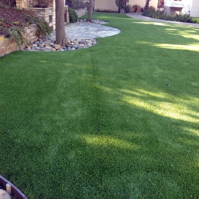 Synthetic Grass Waukena, California Drainage, Backyard Makeover