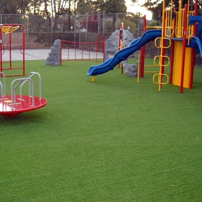 Synthetic Lawn Boulevard, California Backyard Playground, Parks