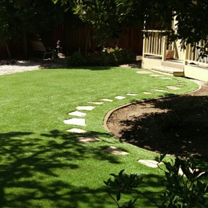 Synthetic Lawn Fort Jones, California City Landscape, Backyard Ideas