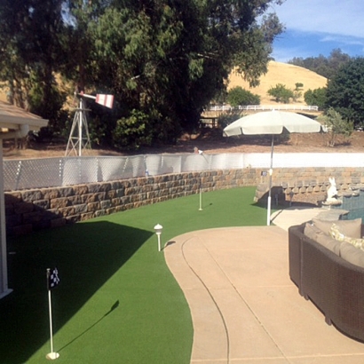 Synthetic Lawn Grangeville, California Roof Top, Small Backyard Ideas