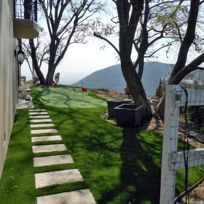Synthetic Lawn La Presa, California Best Indoor Putting Green, Backyard Designs