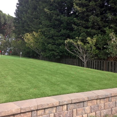 Synthetic Lawn Pine Flat, California Outdoor Putting Green, Backyard Landscaping Ideas