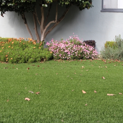 Synthetic Lawn Tuolumne City, California Gardeners, Small Front Yard Landscaping