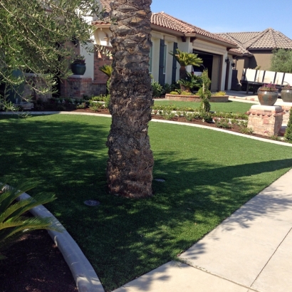 Synthetic Turf Fullerton, California Landscaping, Front Yard Landscaping
