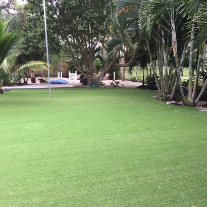 Synthetic Turf Supplier Angels Camp, California Design Ideas, Commercial Landscape