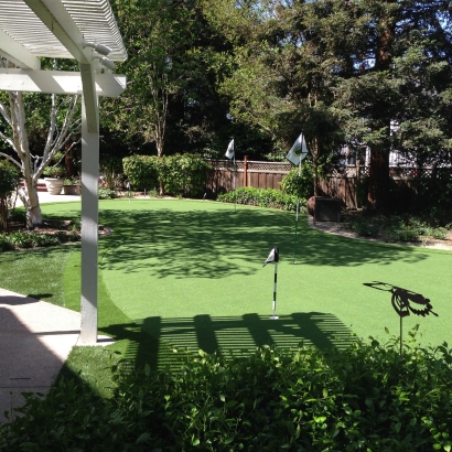 Synthetic Turf Supplier Cambrian Park, California Backyard Playground