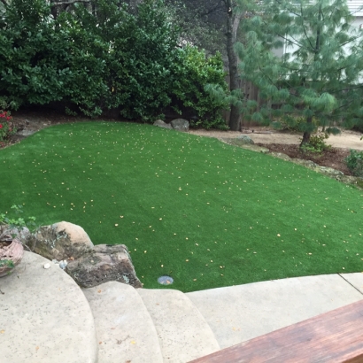 Turf Grass Soulsbyville, California Design Ideas, Beautiful Backyards
