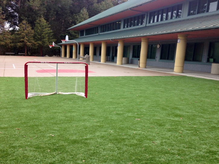 Artificial Grass Carpet Aguanga, California High School Sports, Commercial Landscape