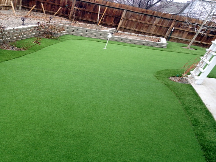 Artificial Grass Carpet Crows Landing, California Home And Garden, Backyard Landscaping Ideas