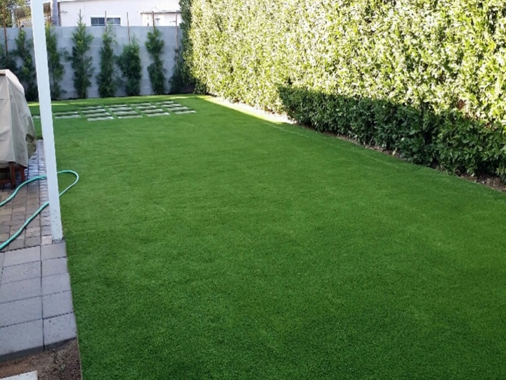 Artificial Grass Carpet La Mesa, California Backyard Playground, Backyard Garden Ideas