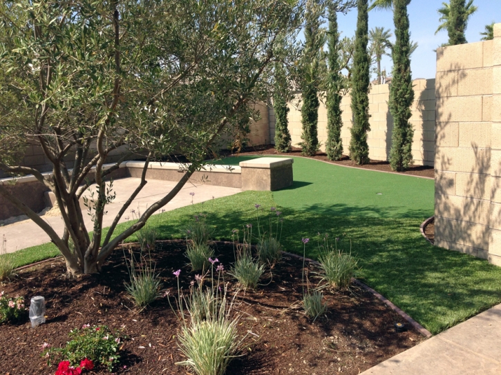 Artificial Grass Carpet Placentia, California City Landscape, Backyard Design
