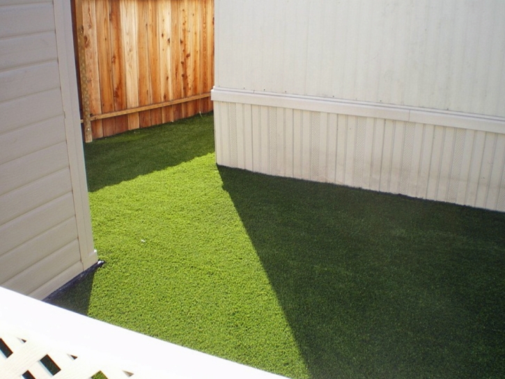 Artificial Grass Installation Bishop, California Pet Paradise, Backyard Designs