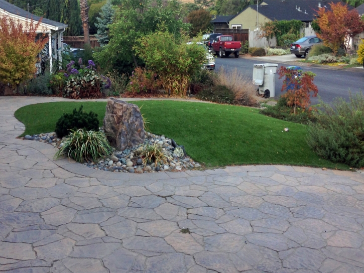 Artificial Grass Installation Goshen, California Landscape Photos, Small Front Yard Landscaping