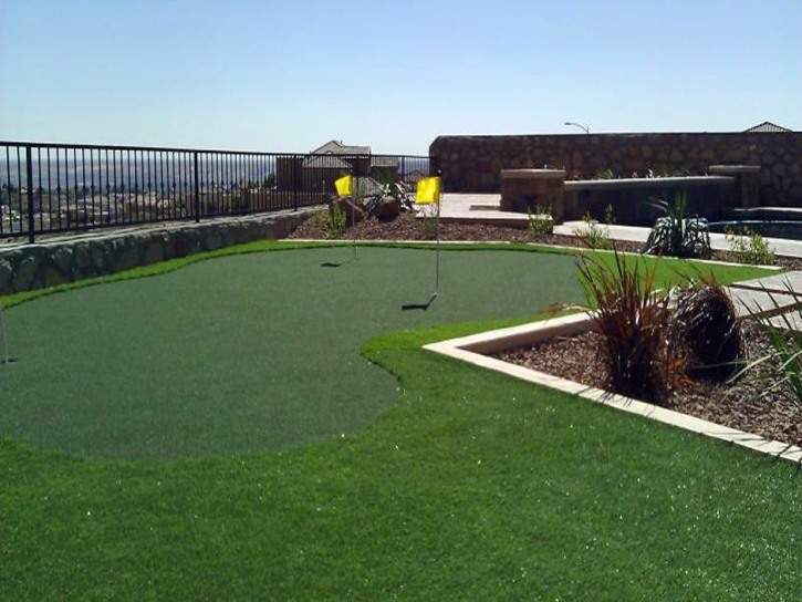 Artificial Grass Installation Santa Monica, California Landscape Photos