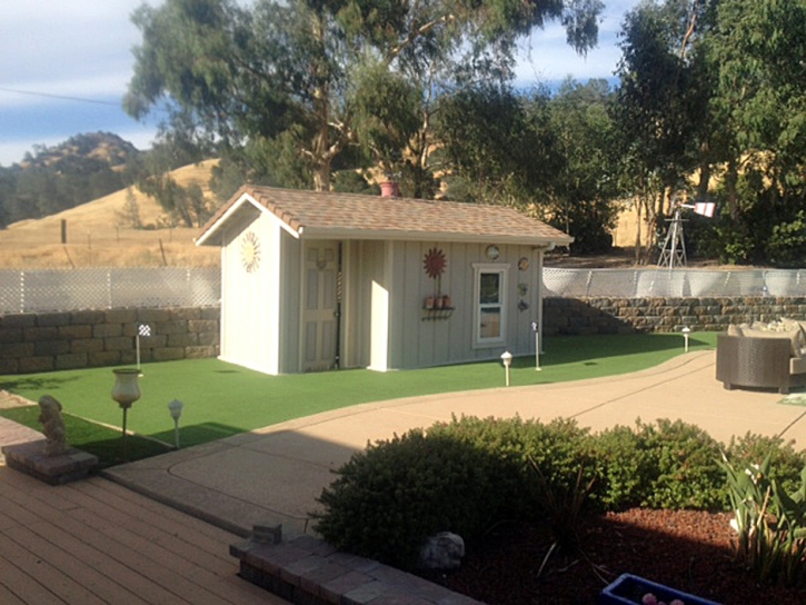 Artificial Grass Installation Springville, California Landscaping, Commercial Landscape