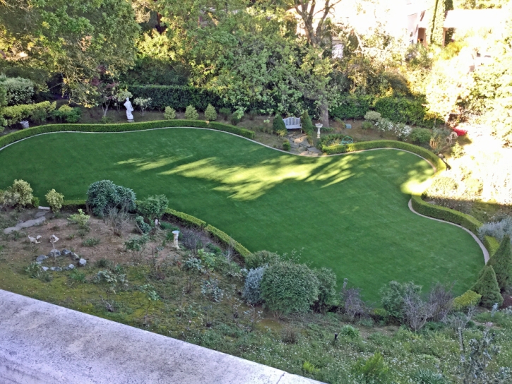 Artificial Grass Mount Hermon, California Indoor Dog Park, Backyard Designs