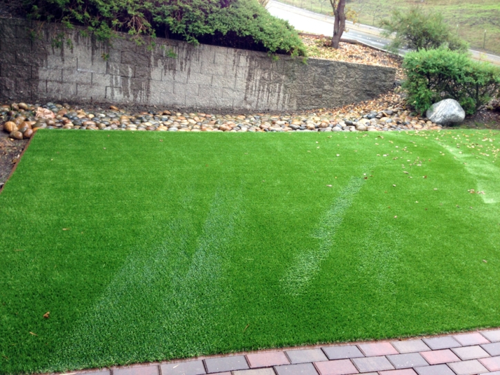 Artificial Grass Olancha, California Grass For Dogs, Backyard Ideas