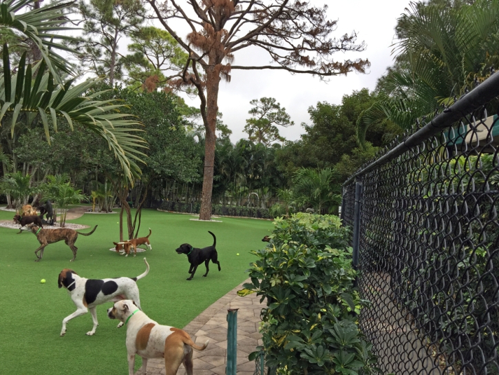 Artificial Lawn Benton, California Pet Paradise, Commercial Landscape