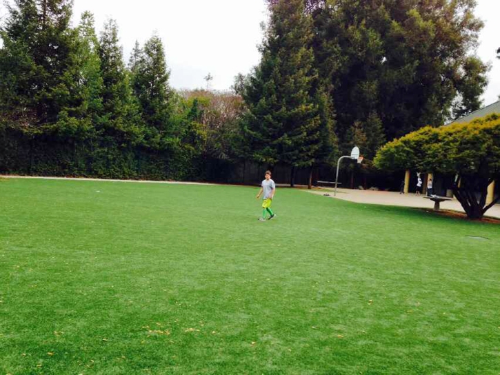 Artificial Lawn Hidden Trails, California Backyard Soccer, Parks