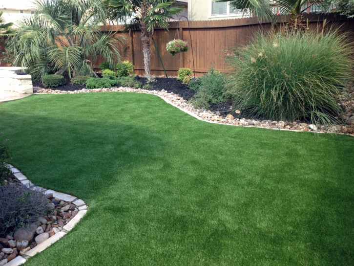 Artificial Lawn Mettler, California Landscape Photos, Backyard Landscape Ideas