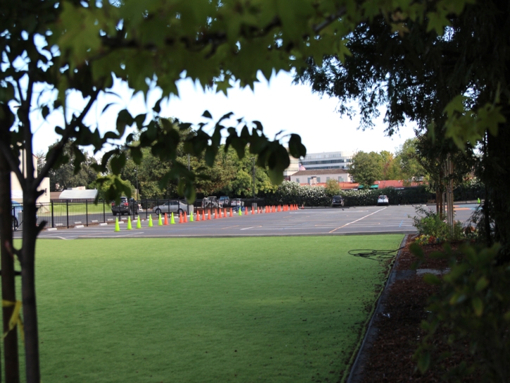 Artificial Lawn Twin Lakes, California Athletic Playground, Commercial Landscape