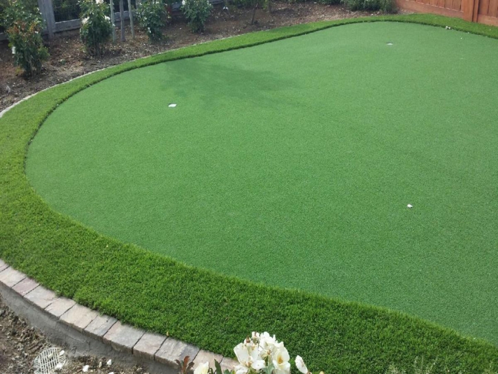 Artificial Turf Bear Valley, California Putting Green Flags, Backyard Landscape Ideas