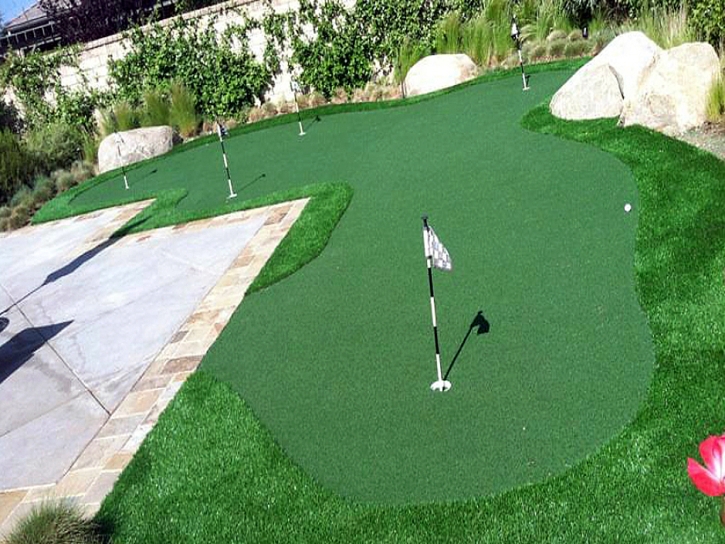 Artificial Turf Cost Mesa, California Design Ideas, Backyard Landscape Ideas