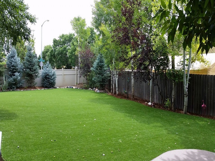 Artificial Turf El Portal, California Landscape Photos, Small Backyard Ideas