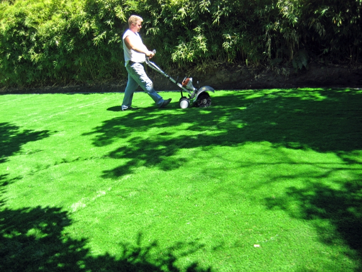Artificial Turf Installation Camp Nelson, California Backyard Playground, Small Backyard Ideas