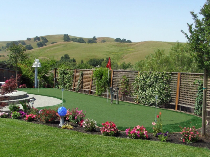 Best Artificial Grass La Vina, California Backyard Playground, Backyard Garden Ideas