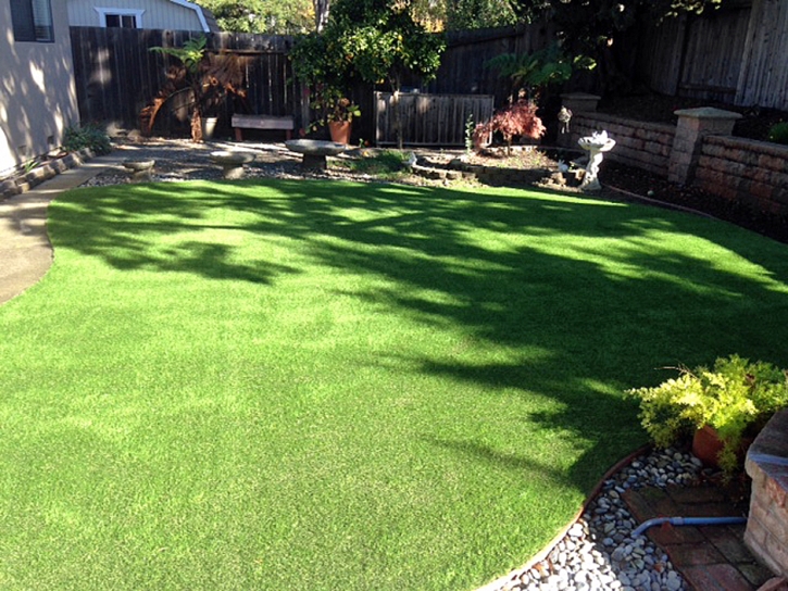 Best Artificial Grass Rio Del Mar, California Landscaping Business, Backyard Garden Ideas