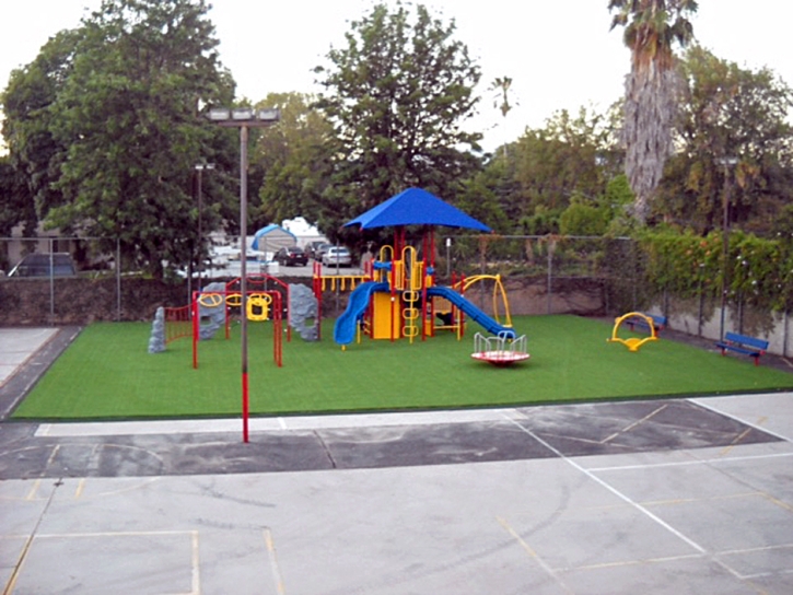 Fake Grass Carpet Darwin, California Landscape Ideas, Commercial Landscape