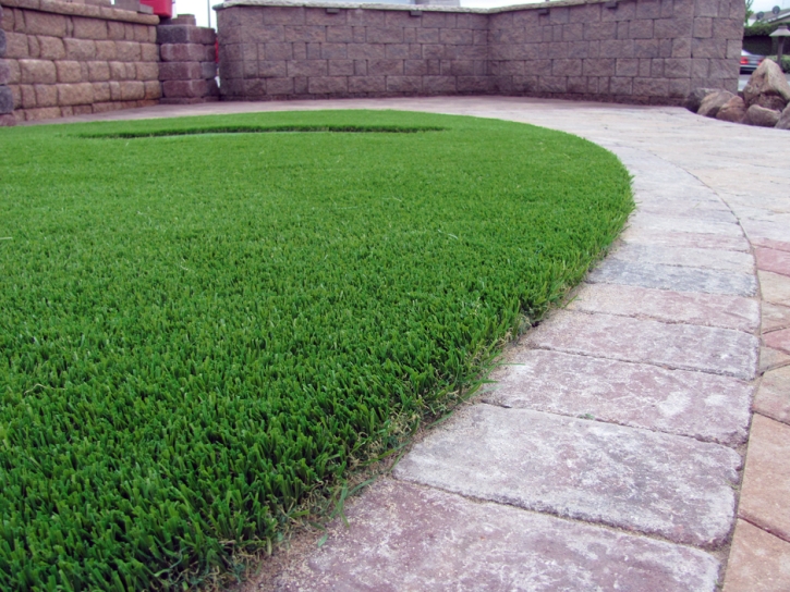 Fake Grass Carpet Ducor, California Dog Pound, Pavers