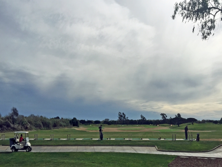 Fake Grass Carpet Interlaken, California Office Putting Green