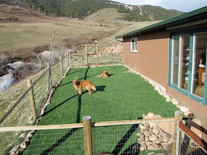 Fake Grass Carpet Lakewood, California Landscape Design, Dogs Park