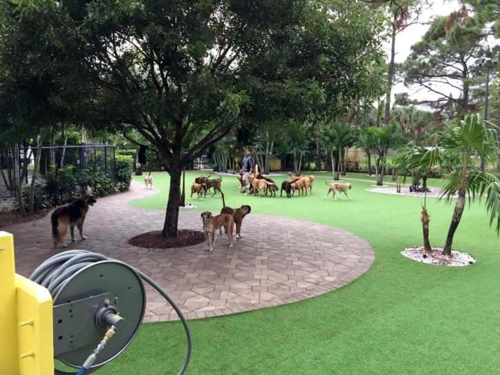 Fake Grass Carpet Livingston, California Artificial Turf For Dogs, Commercial Landscape