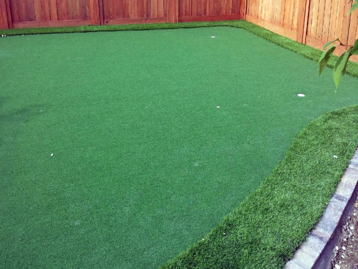 Fake Grass Carpet Minkler, California Landscaping Business, Backyard