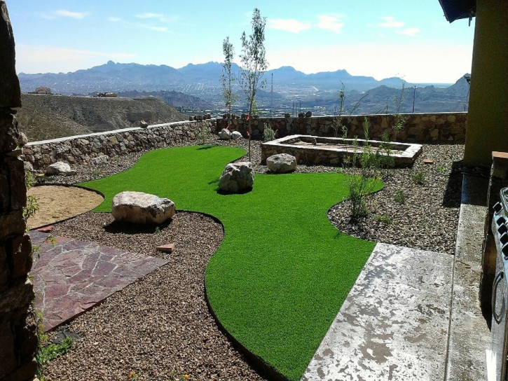 Fake Grass Carpet San Jacinto, California Home And Garden, Backyard Landscape Ideas