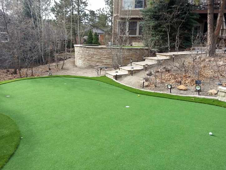 Fake Grass Carpet Seaside, California Home Putting Green, Backyard Ideas