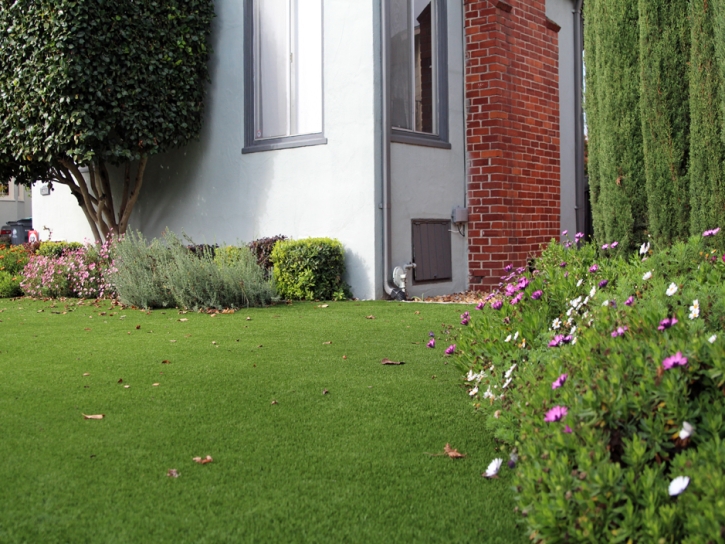 Fake Grass Cedar Ridge, California Gardeners, Small Front Yard Landscaping