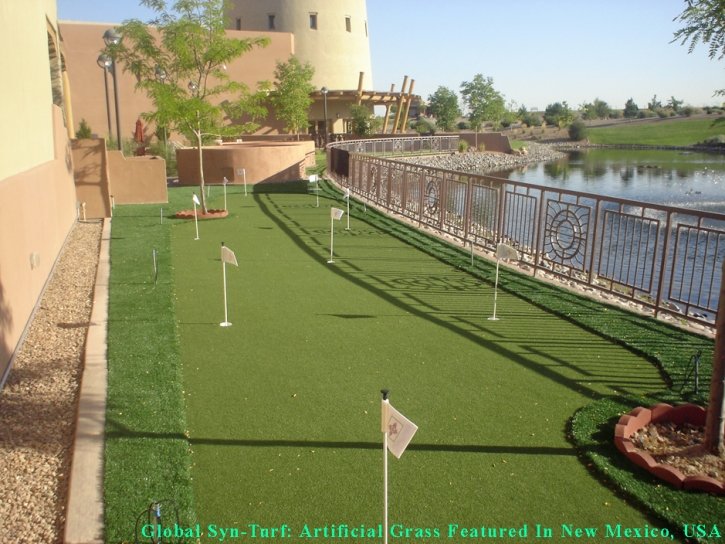 Fake Grass East Los Angeles, California Putting Green, Backyard Landscape Ideas