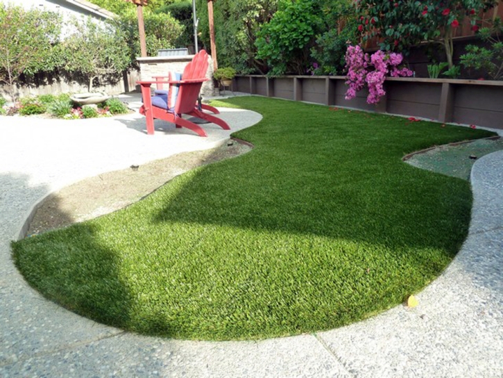 Fake Grass East Sonora, California Gardeners, Backyard Landscaping Ideas