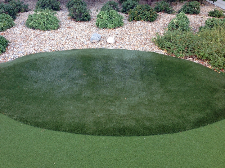 Fake Grass Pixley, California Outdoor Putting Green