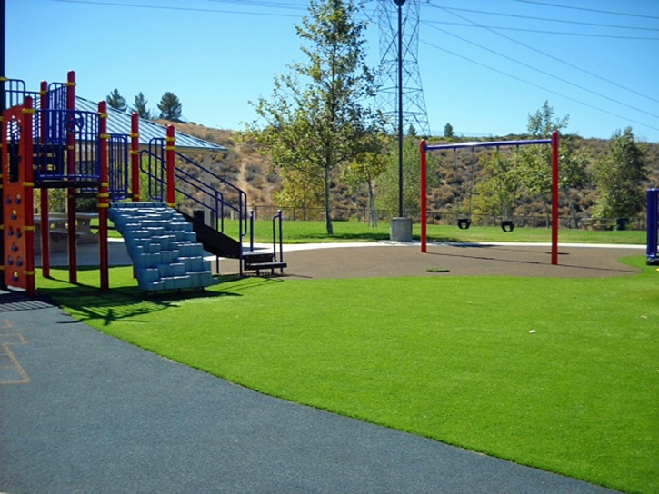 Fake Grass Selma, California Kids Indoor Playground, Recreational Areas