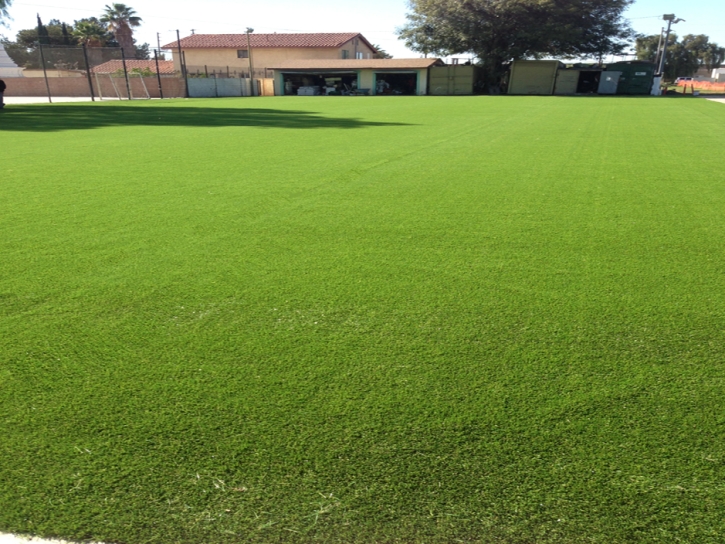 Fake Lawn Hartland, California Sports Turf, Recreational Areas