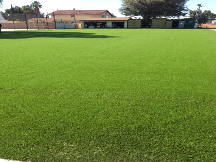 Fake Lawn Hartland, California Sports Turf, Recreational Areas