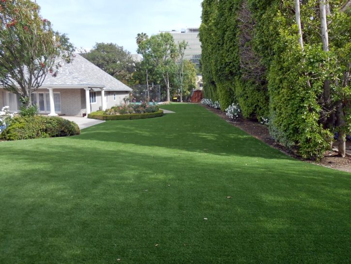 Fake Lawn Lake San Marcos, California Artificial Turf For Dogs, Small Front Yard Landscaping