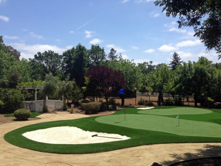 Fake Turf Glendora, California Roof Top, Landscaping Ideas For Front Yard