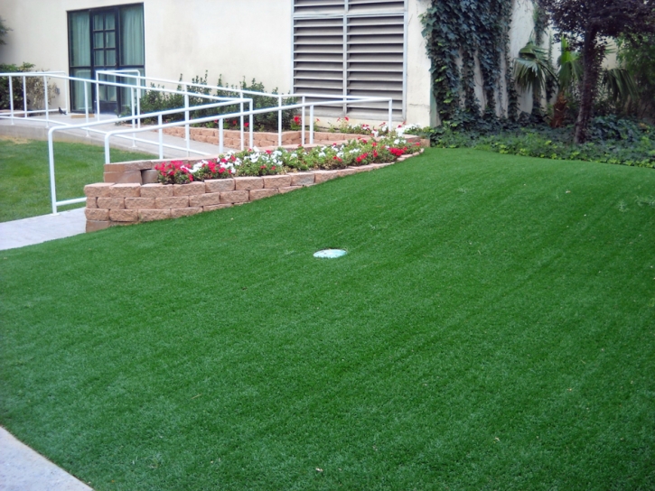 Fake Turf Malaga, California Putting Green Carpet, Front Yard Landscape Ideas