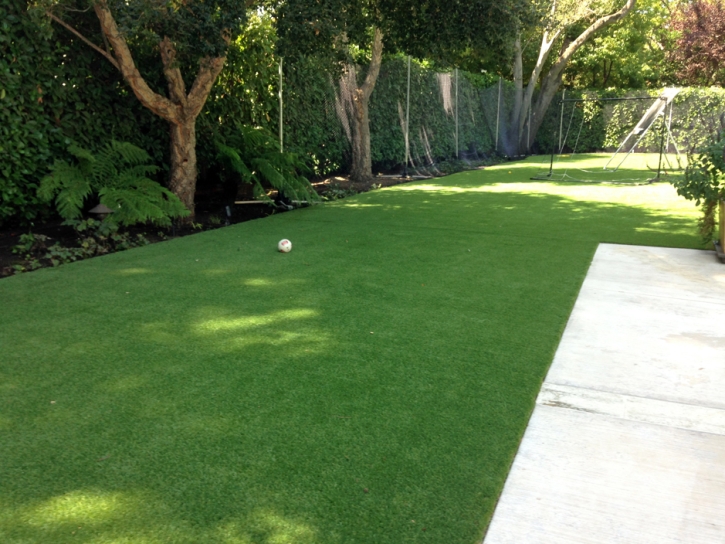 Fake Turf Orcutt, California Roof Top